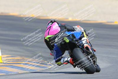 media/Mar-10-2024-SoCal Trackdays (Sun) [[6228d7c590]]/9-Turn 8 Backside (1150am)/